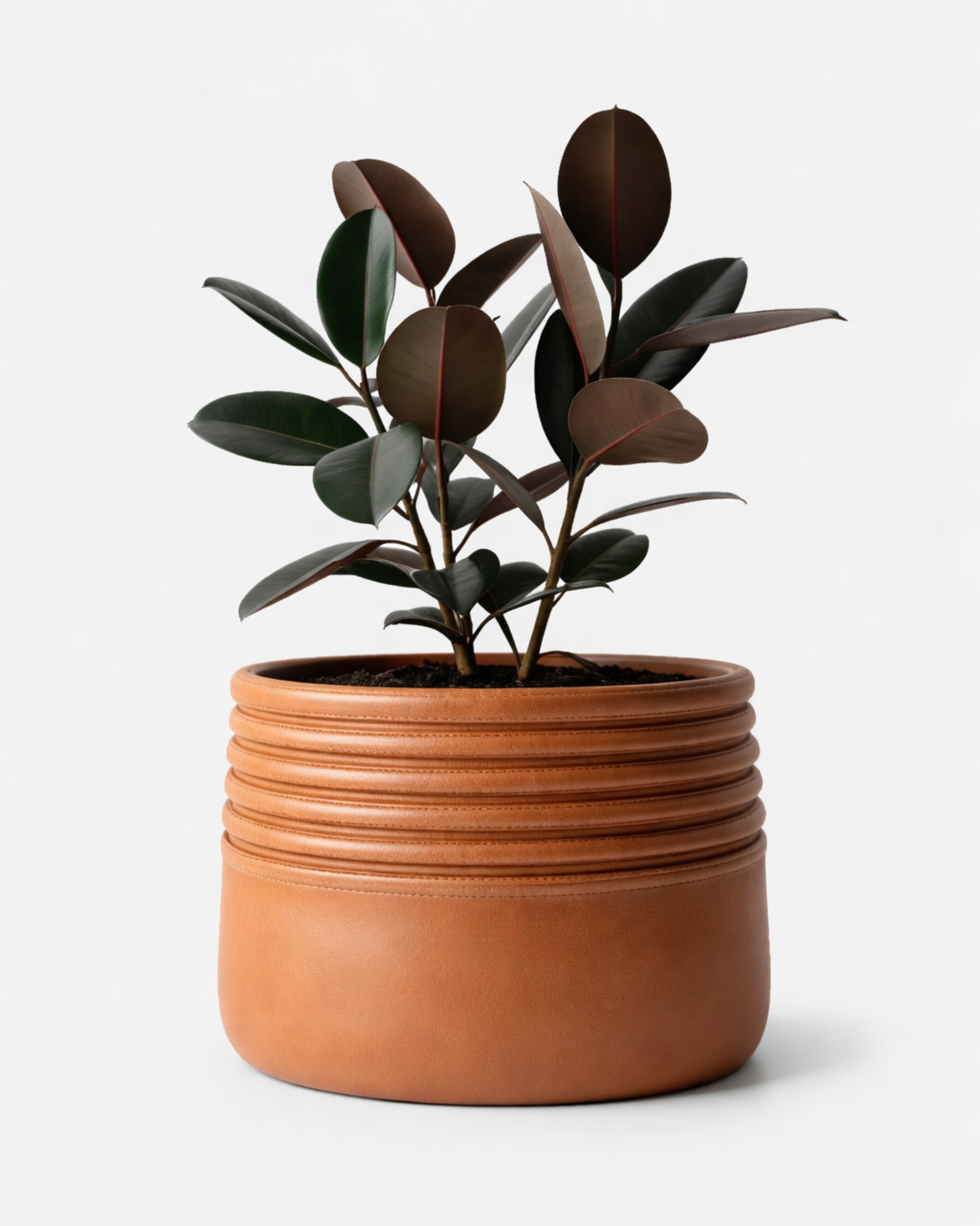 Root Planter