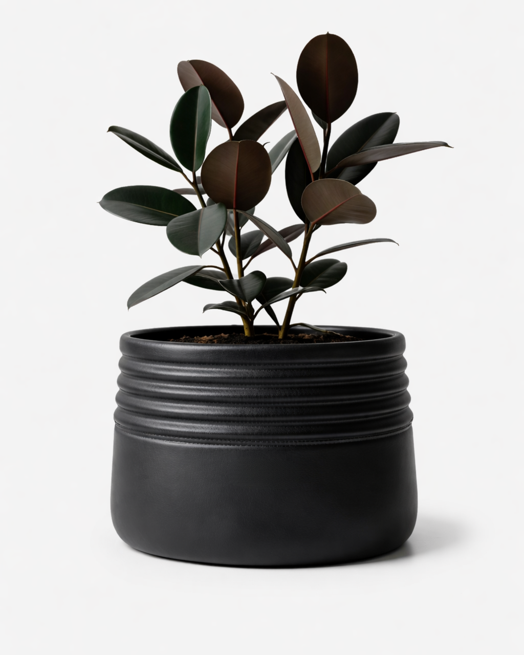 Root Planter