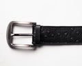 Ostrich Belt